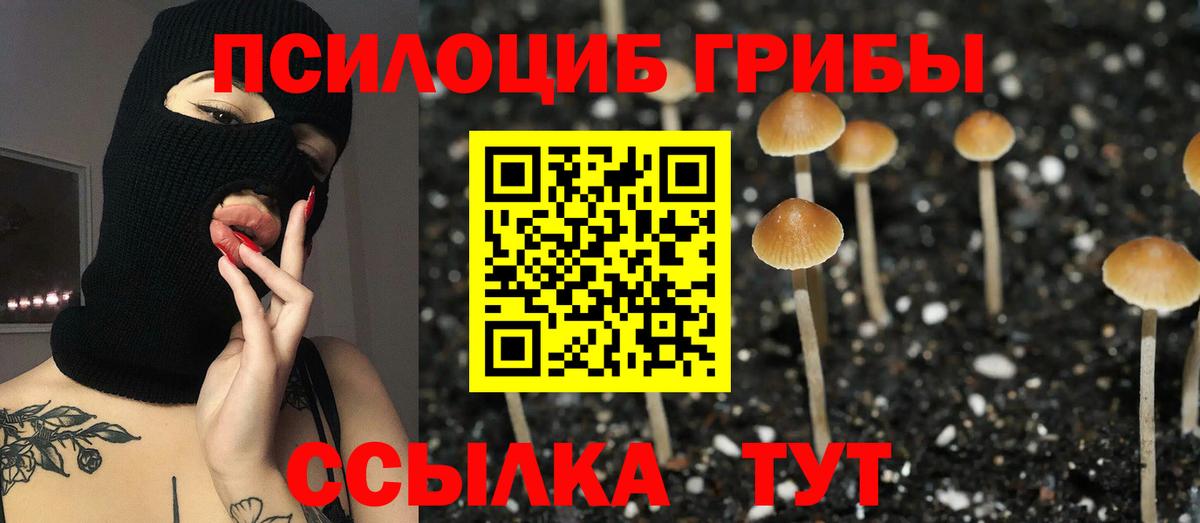 Хабаровск  Псилоцибиновые грибы прущие грибы  наркота  Вход с VPN 